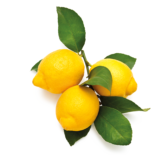 Cítricos