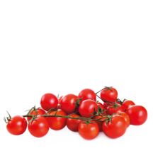 Tomate